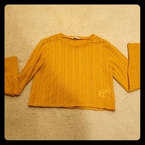 Zara mustard crop sweater top